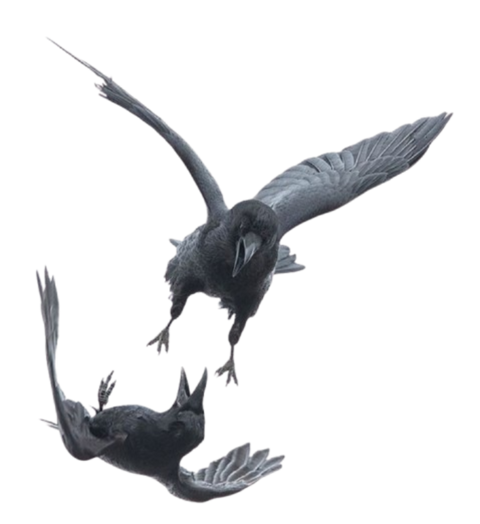 High-quality Nappa allows good air circulation, helping maintain comfort in warmer conditions.